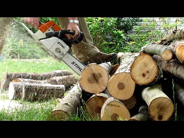 STIHL MS260 chainsaw test cuts