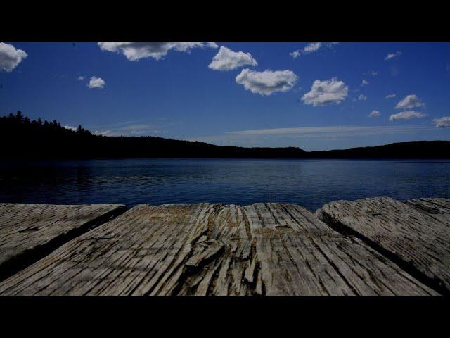 Man dies in Lake Lanier while trying to swim back to boat, game wardens say