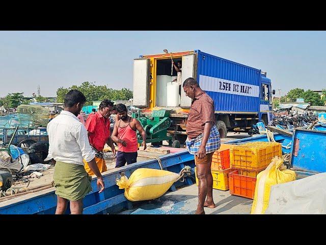 தங்கு தொழிலுக்கு கிளம்பியாச்சு | We Are Going To Deep Sea Fishing