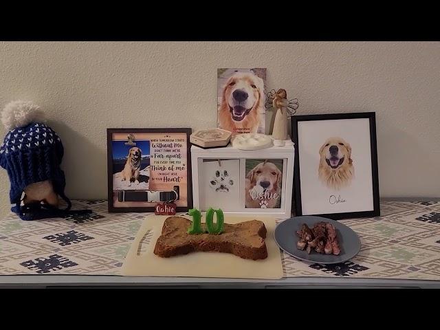 Oshie's 10th Birthday