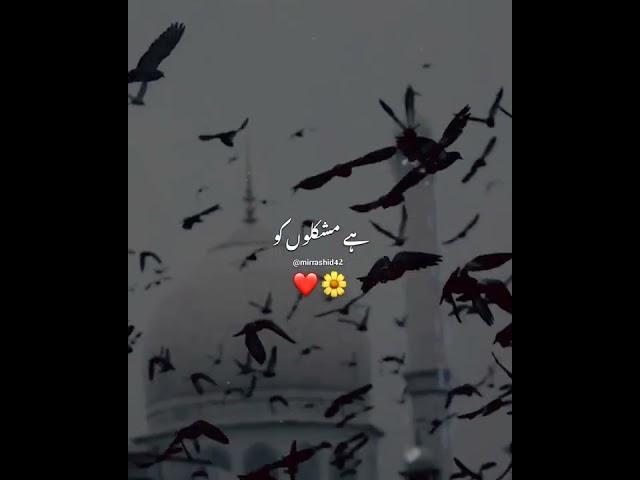 Islamic Nat WhatsApp status ️