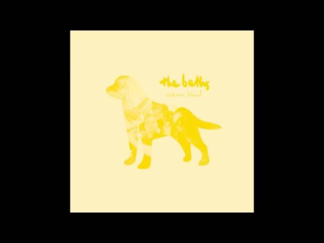 The Beths Warm Blood Full Album