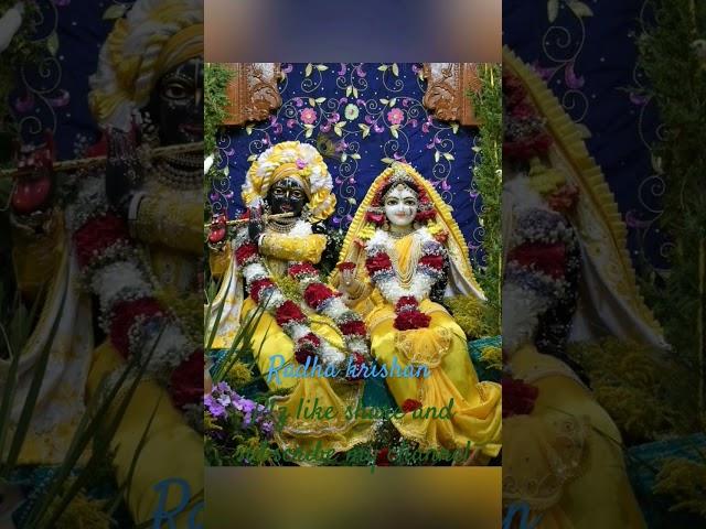 #Radhakrishanji #Krishan #Radha #Bhagwan #God #shorts #status #newsong #manekharokharoyamunajisong