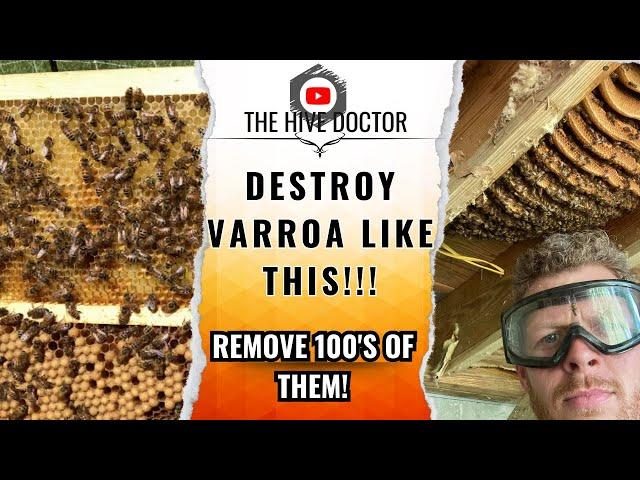 Varroa mite Control Frames//Ingenious Varroa Control//Kill Varroa mite in your hive//Collect beeswax