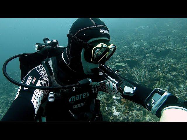 Scuba Diving Equipment Review: Mares Genius Dive Computer