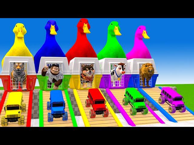 5 Giant Duck Cartoon,Cow,Elephant,Tiger,Lion,Dinosaur,Paint Wild Animals Crossing Fountain Animation