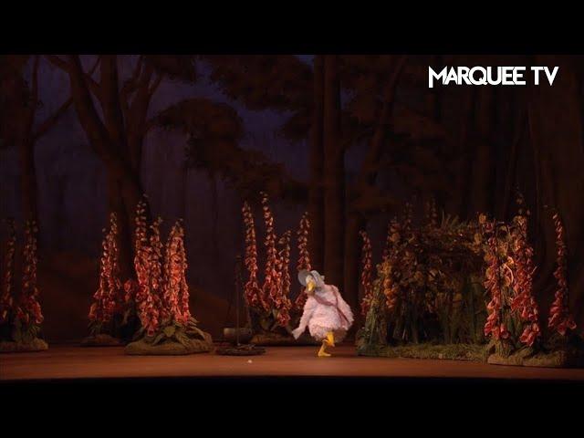 Jemima Puddle Duck| Frederick Ashton's The Tales of Beatrix Potter | Marquee TV