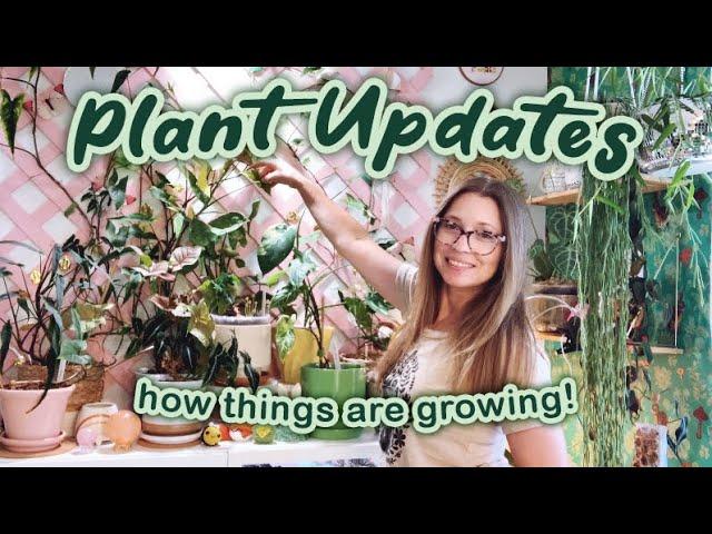 Monthly Plant Updates | Changes in the Collection Both Good and Bad | Walk in the Garden