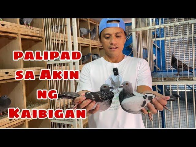 PALIPAD SA AKIN NG KAIBIGAN |Reggie Cruz Loft & Aviary #reggiecruzloftandaviary #reggiecruzloft