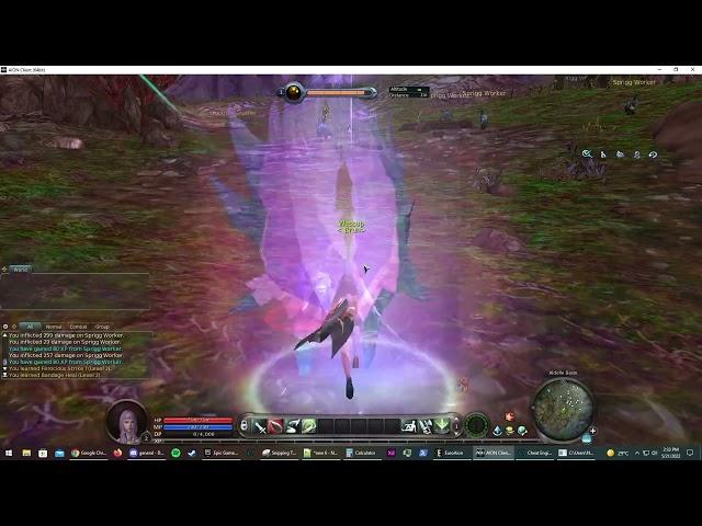 EURO AION - NO ANIMATION HACK