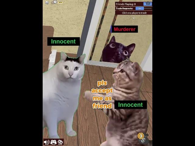 MURDER CAT IN MM2 #memes #roblox #meme #bloxfruits #murdermystery2 #catmemes #cat #r63 #survive