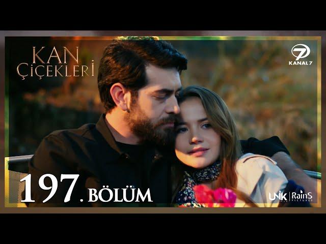 Kan Çiçekleri 197. Bölüm