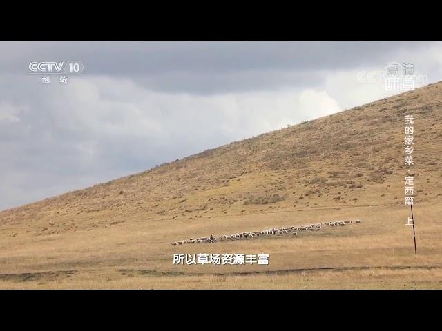 [味道]我的家乡菜·定西篇（上） 岷县的草场资源比较丰富| 美食中国 Tasty China