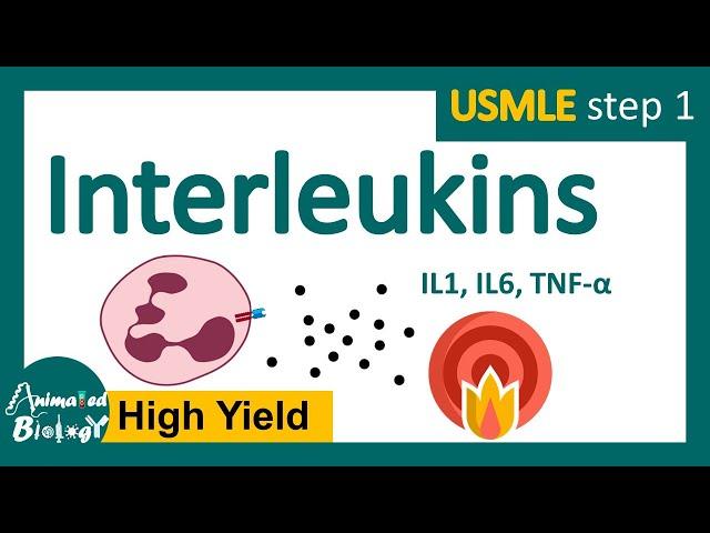 Interleukins and its role in immune system | Interleukin function