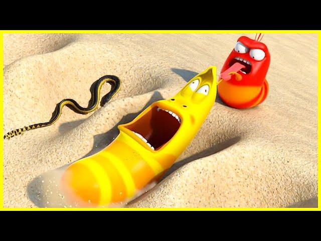 LARVA TUBA 2023 - LARVA NEW SEASON - BEST EPISODE - NEW VERSION LARVA - FUNNIEST CARTOONS