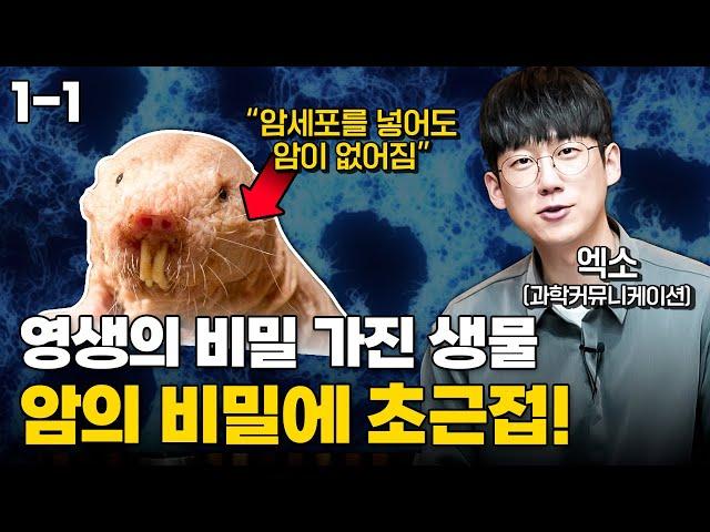 풀리지 않던 암의 비밀, 드디어 실마리를 찾은 과학자들ㅣ엑소(과학커뮤니케이터)