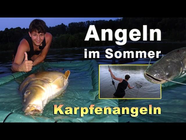 Angeln auf Karpfen im Sommer - Karpfenangeln im Angelurlaub in Österreich | Angeln in Kärnten 2024