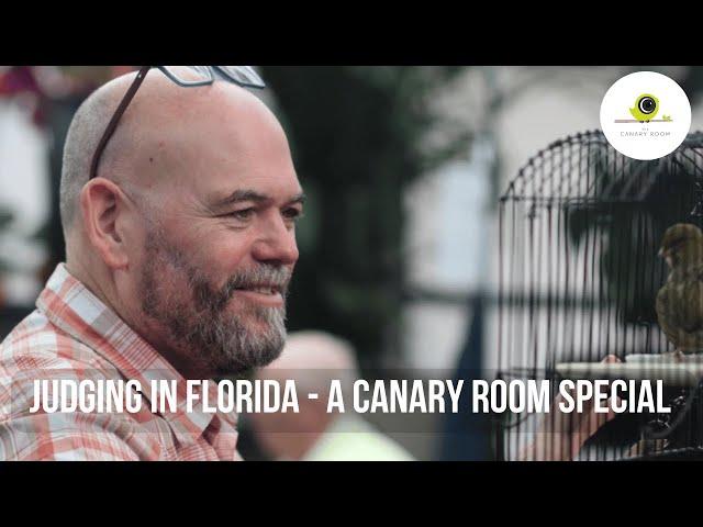 Judging Canaries in Florida - A Canary Room Special