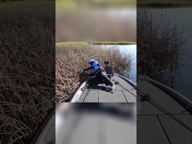 Epic Catch! Fisherman's Triumph on the Lake: You Gotta See This!