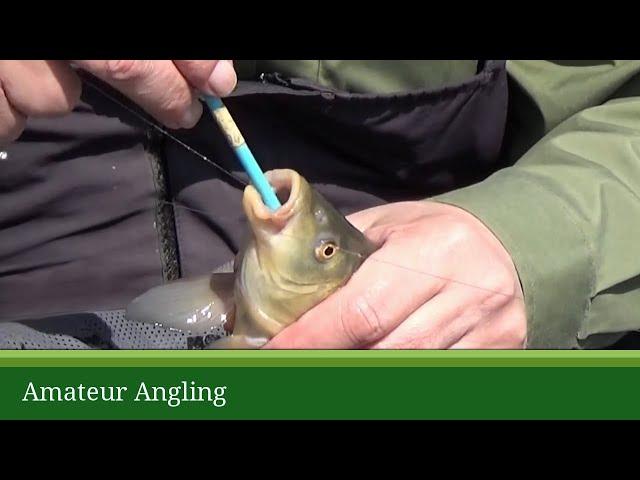 How to unhook a fish safely