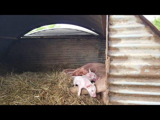 Tour of the MTSU Farms