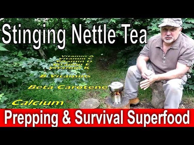  How to Make Stinging Nettle Survival Tea – The Ultimate Wild Superfood for Prepping & Bushcraft!