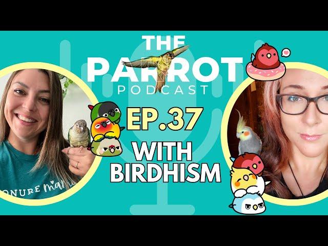 Birds with Special Needs and Birb Art | The Parrot Podcast #37 @Birdhism