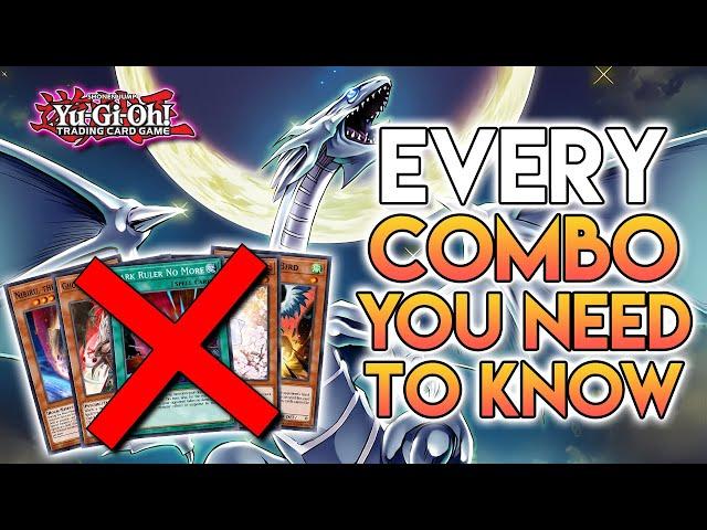 The ULTIMATE Blue-Eyes Combo Spreadsheet! How To Beat Hand Traps & Board Breakers! Yu-Gi-Oh!