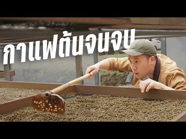 Making Coffee from Start To Finish (ENG CC)