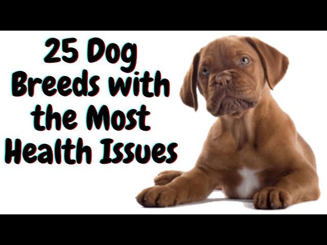 25 Dog Breeds with the Most Health Issues