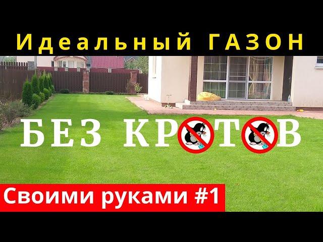 Нужна ли СЕТКА ОТ КРОТОВ под газон? ГАЗОН своими руками БЕЗ КРОТОВ.