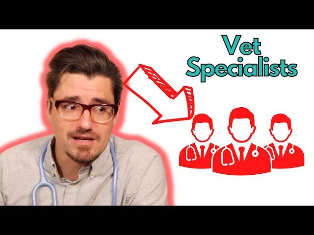 How Veterinary Specialists Work