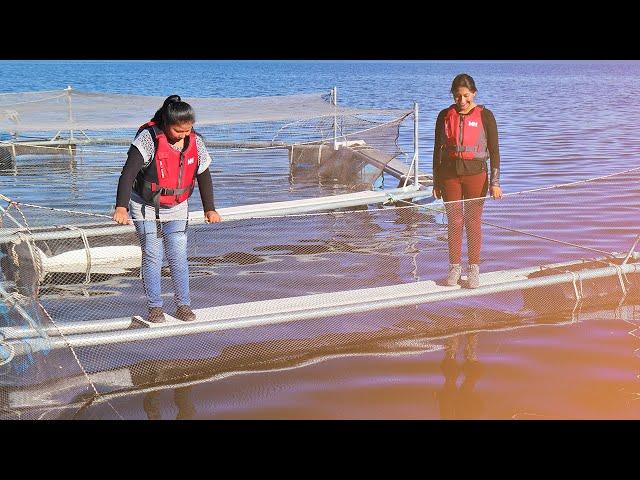 The aquaculture women of Lake Arapa, Peru