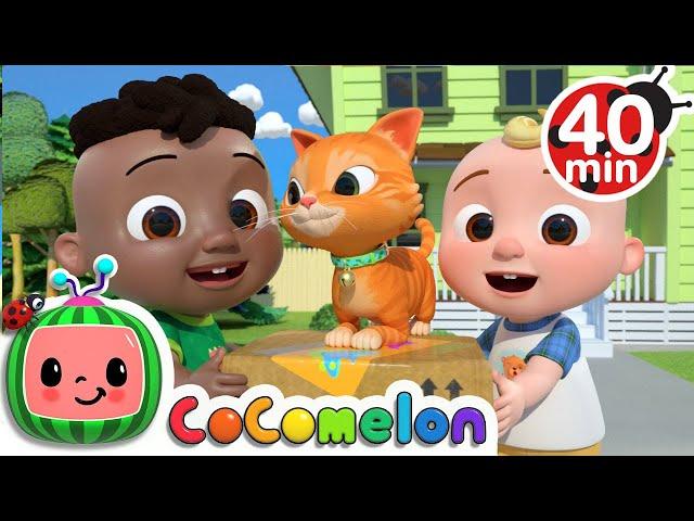 Cody Moves Next Door Song + More Nursery Rhymes & Kids Songs - CoComelon