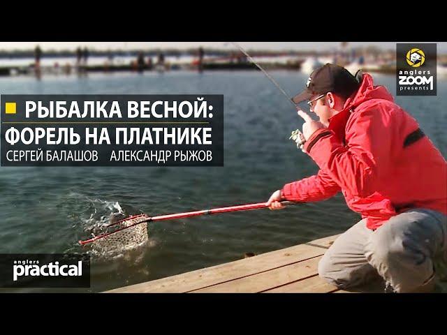 Рыбалка весной: форель на платнике. С. Балашов и А. Рыжов. Anglers Practical