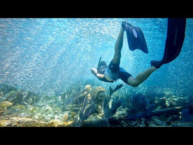 Swimming with a BILLION Bait Fish at Alligator Reef Lighthouse