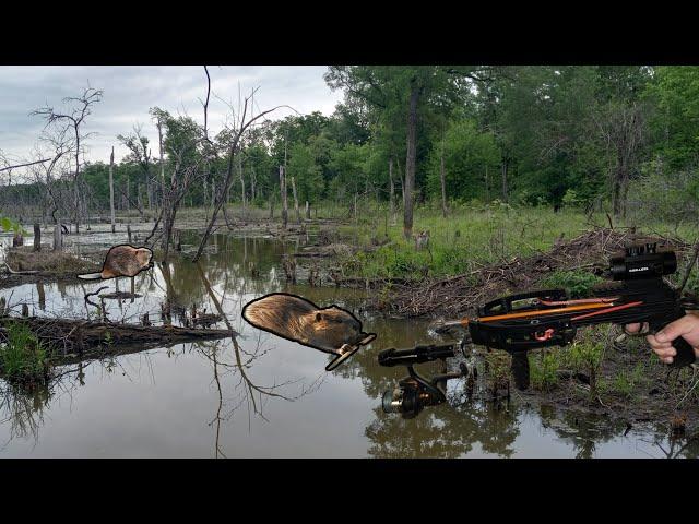 Beaver Hunting with a Bat ... Ballista Bat Pistol Crossbow