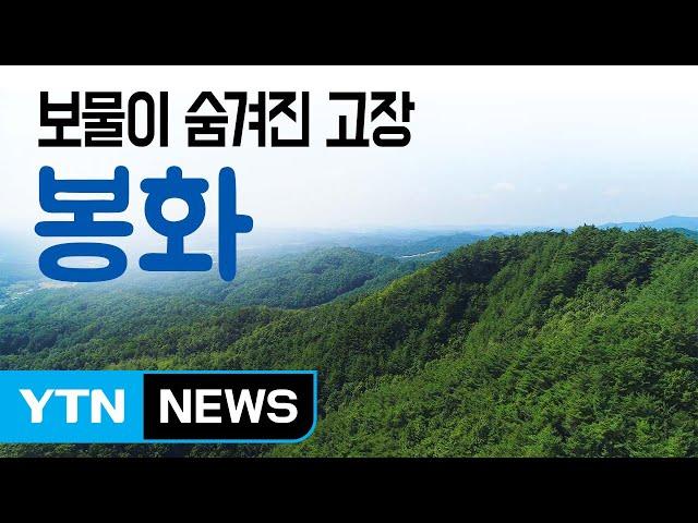 [YTN 구석구석 코리아] 보물이 숨겨진 고장, 봉화 / YTN