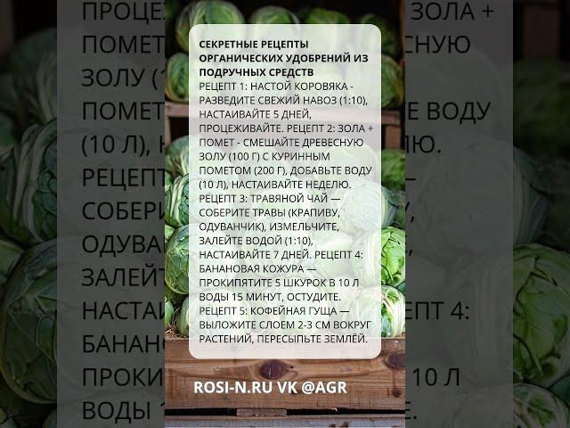 Секретные рецепты органических удобрений из подручных средств