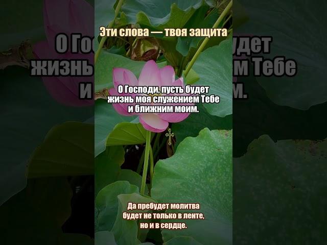 Молитва за внутренний огонь #огоньвнутри #молитвы #сила