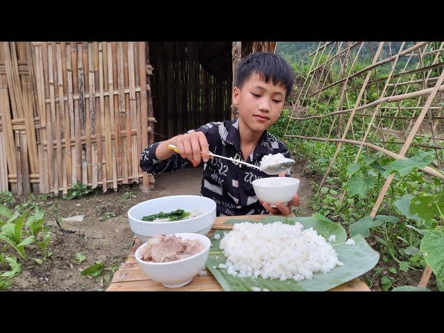 Full video: Fishing - Gardening and harvesting fruits and vegetables to sell. Nam's daily life