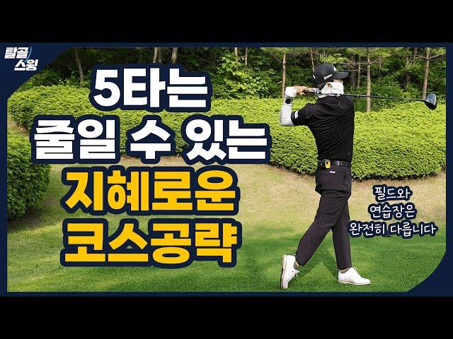 탈골스윙- 프로가 수많은 경험으로 터득한 필드를 지혜롭게 공략하는 방법