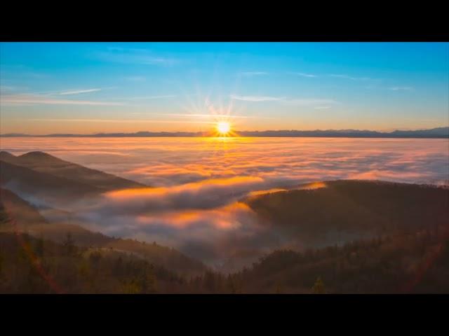 Sunlight Dreams