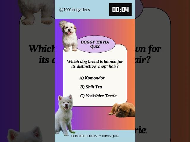 Daily Dog trivia quiz #puppy #dog #doglover #yourdog #dogtrivia #dogchallenge #dogchannel