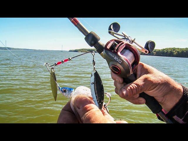 KVD’s Secrets to Power Fishing Spinnerbaits