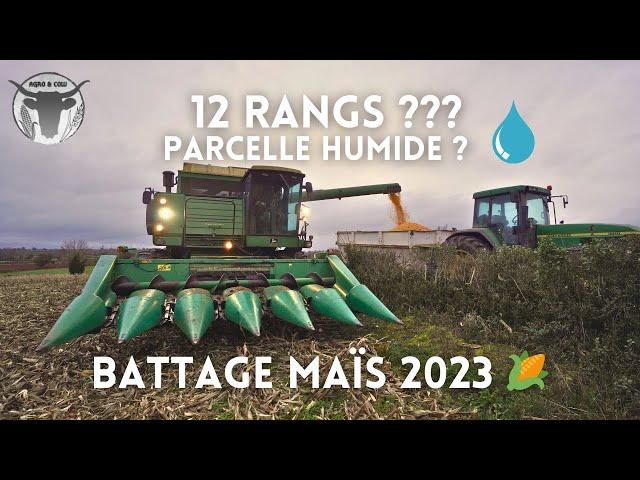 BATTAGE 2023 | 12 RANGS ! (Parcelle Humide)
