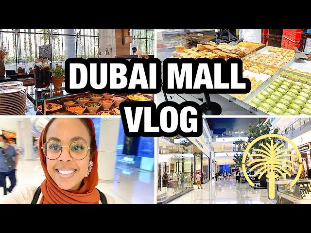 DALXIIS DUBAI | DUBAI MALL VLOG | Naz Ahmed