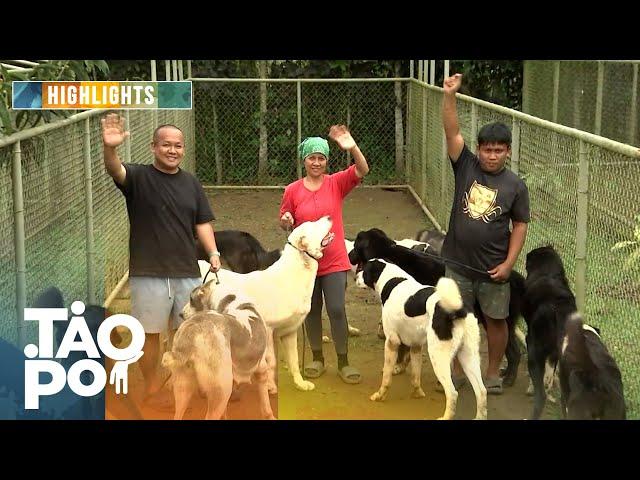 'Tao Po': Iba’t ibang naglalakihang aso inaalagaan sa isang dog farm sa Cavite