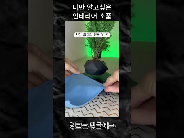 무중력 화분#home #homeinterior #인테리어 #인테리어소품 #귀여운 #나만의 #아이템 #item #신기한 #무중력 #화분