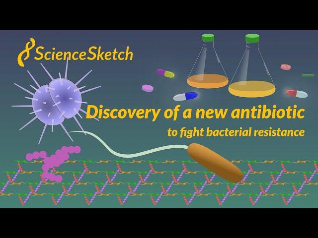 Discovery of a New Antibiotic